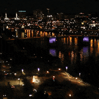 United States Usa GIF by Four Rest Films