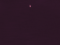 animation artists on tumblr GIF by Cindy Suen