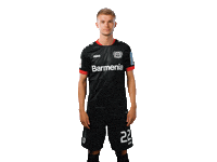 Bayer 04 Wtf Sticker by Bayer 04 Leverkusen