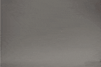 GIF by Dolphin Discovery