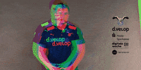 holstein kiel love GIF