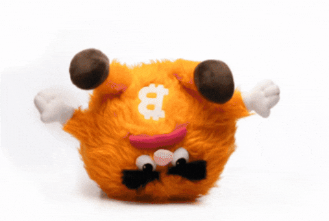 Crypto Bitcoin GIF by herecomesbitcoin
