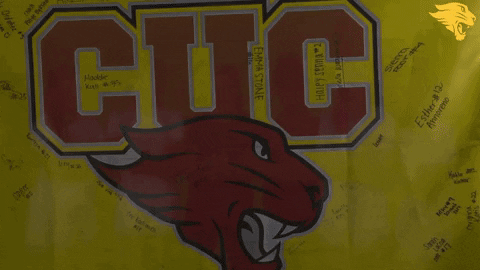 D3Soc Cuc19 GIF by CUCougars