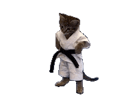 Cat Kitten Sticker by Leroy Patterson
