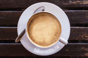 Public Relations Coffee GIF by Take Roots Consulting