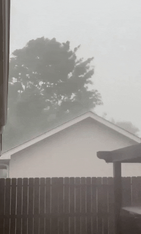 Rain Weather GIF by Storyful