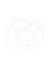 Weddings Wedding Day Sticker by RUSSELL KENT NICHOLLS