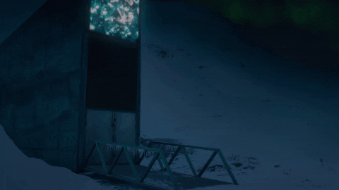 Cosmospossibleworlds GIF by cosmosontv