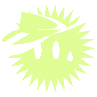 STEIBISONNE sommer sonne winterthur visor Sticker