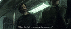 Capitalism Rios GIF by Goldmaster