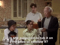 the mystery files of shelby woo nicksplat GIF