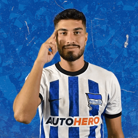 Bundesliga Ball GIF by Hertha BSC - Find & Share on GIPHY
