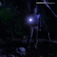 Film Camping GIF by Arrow Video