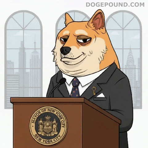 New York City Deal With It GIF by Doge Pound