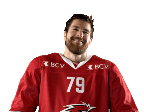 Lhc Lausannehc Sticker by Lausanne Hockey Club