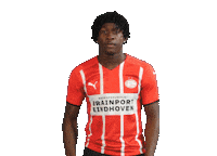 Football Celebrate Sticker by PSV