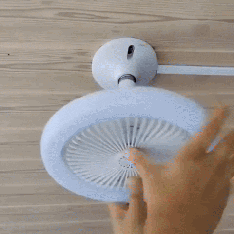 rociogn6 giphyupload GIF