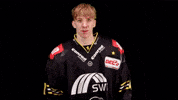 Hockey Del2 GIF by Krefeld Pinguine