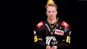 Hockey Del2 GIF by Krefeld Pinguine