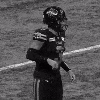 British Lions GIF