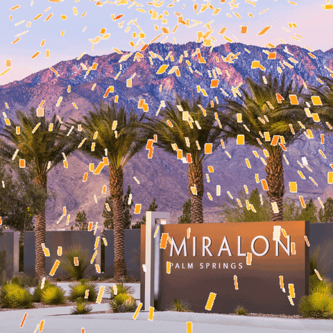 cactushugs giphyupload GIF