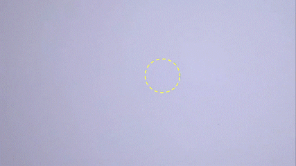 Esmage giphyupload GIF