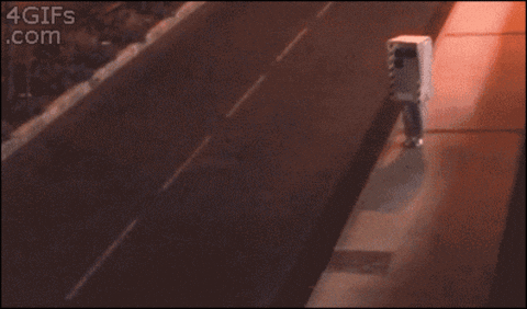 aleoxth giphygifmaker GIF