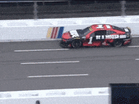 Ross Chastain Nascar GIF