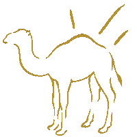Hump Day Camel Sticker