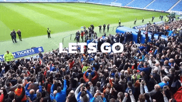 steven gerrard GIF by Rangers Football Club