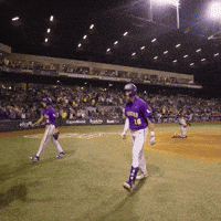 College Sports Sport GIF by LSU Tigers