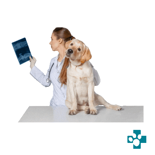 Vet Sticker by Europeanpetpharmacy