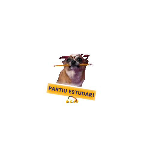 colegioelo giphyupload dogs study escola Sticker