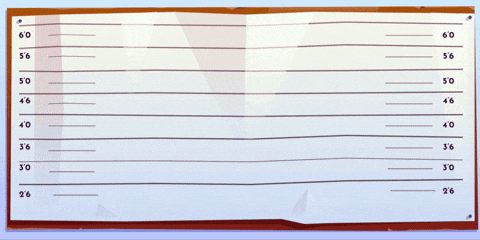 Police Station Crypto GIF by BigBrains