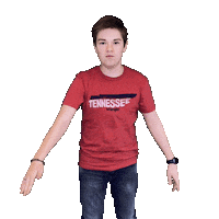 Last Man Standing Wow Sticker