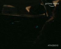Festival Theboys GIF by Amazon Prime Video