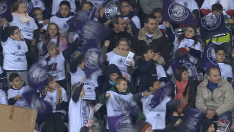 ligue 1 soccer GIF by Toulouse Football Club