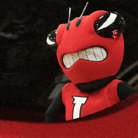 UniversityOfLynchburg eye university forever i see you GIF