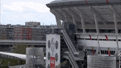 GIF by FOX Sports