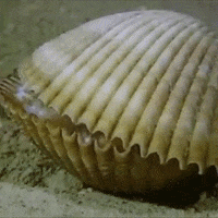 OctoNation nope night sleep goodnight GIF