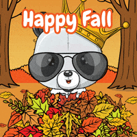 Happy Fall GIF by PandaPals