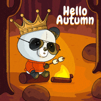 Happy Fall GIF by PandaPals