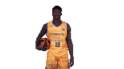 Liga Endesa Basketball Sticker by ACB