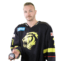 tiposshl sport hockey hokej hockeyslovakia Sticker