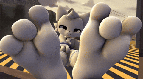 Feet Silly Cat GIF