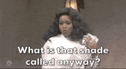 Snl GIF by Saturday Night Live