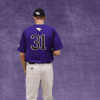 Baseball Wesleyan GIF by KWC Panthers