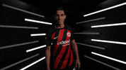 Germany Yes GIF by Bundesliga