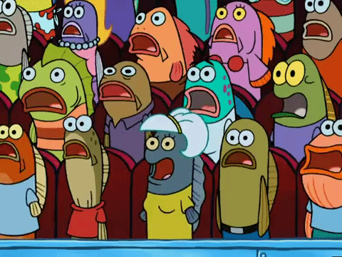 season 5 GIF by SpongeBob SquarePants