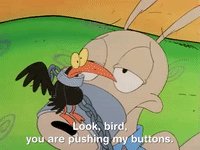 rockos modern life nicksplat GIF